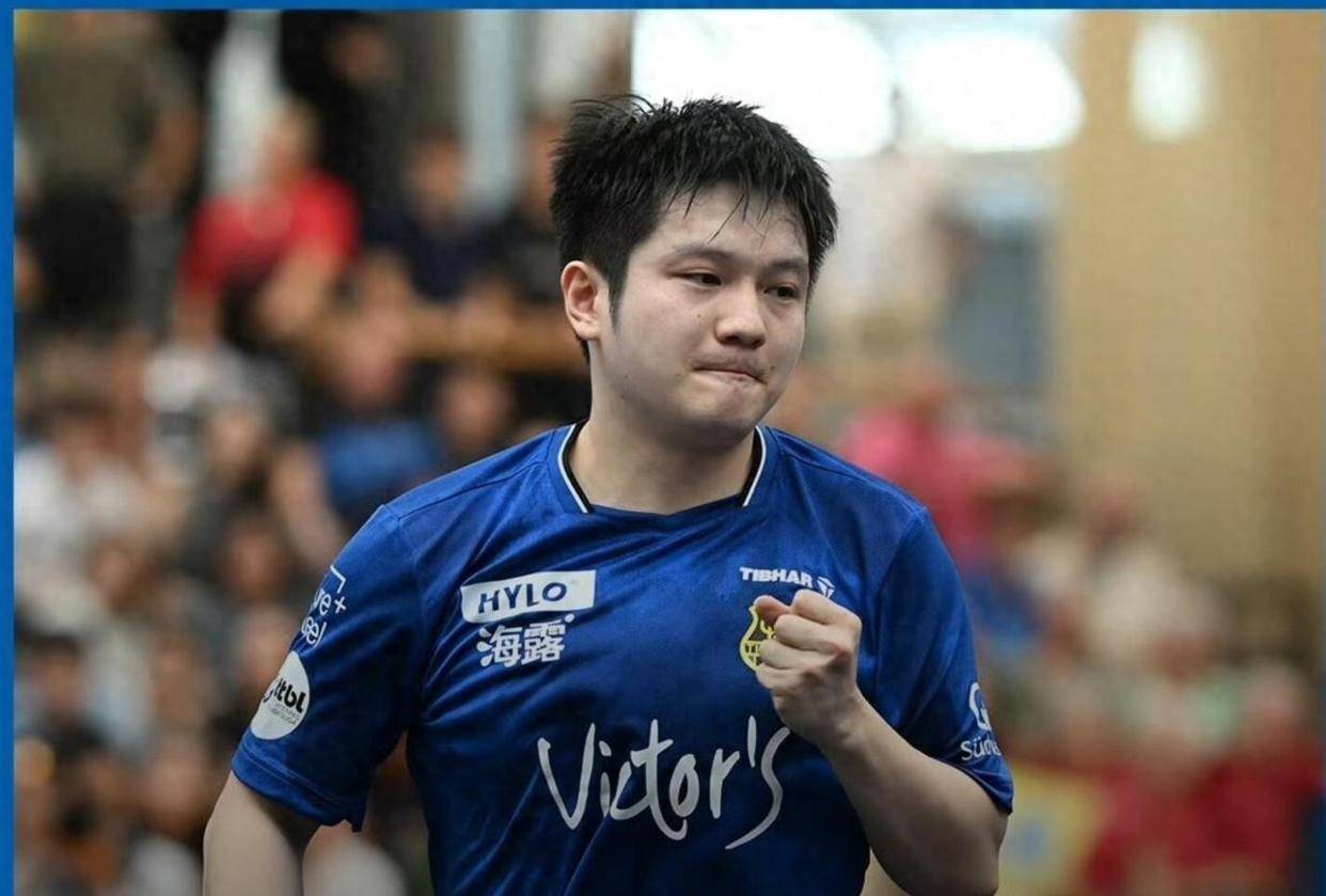 比利时乒乓球队血洗德国乒乓球队,樊振东完成帽子戏法 比利时乒乓球队血洗德国乒乓球队,樊振东完成帽子戏法