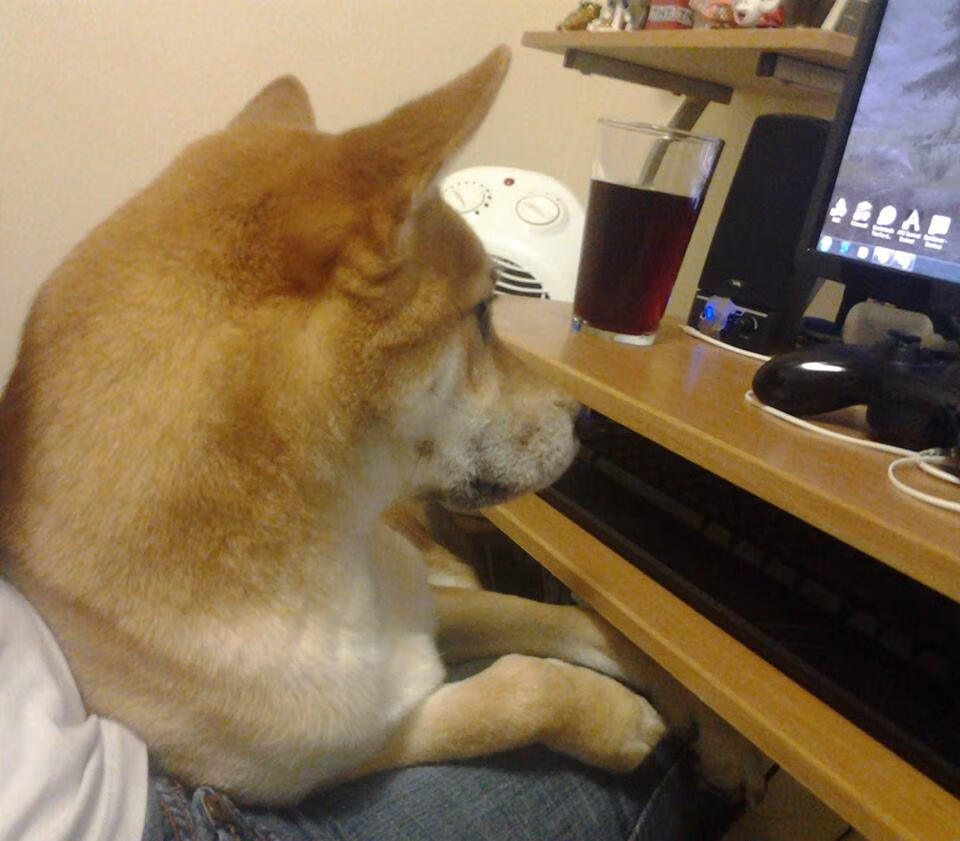 翻译胜利，马琳如何让韩国队听懂完胜的西班牙语