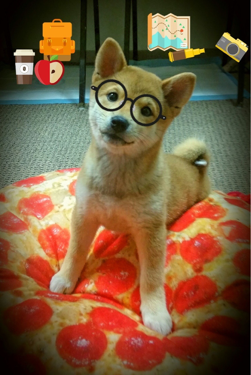 爱游戏大厅-绿茵平行宇宙，格纳布里点燃欧冠，那不勒斯征服非洲之心