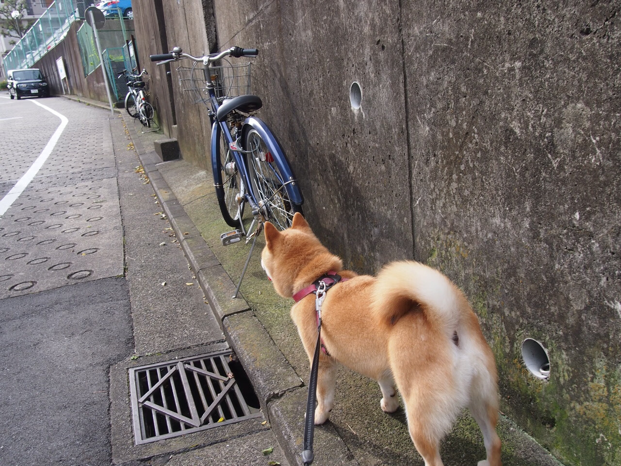 戈麦斯点亮塞维利亚之夜，一记压哨神迹，足球哲学与绝对时刻的碰撞