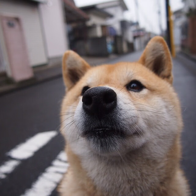 杰伦·格林改写规则，当火箭用活塞的方式击溃活塞，联盟颤抖了吗？