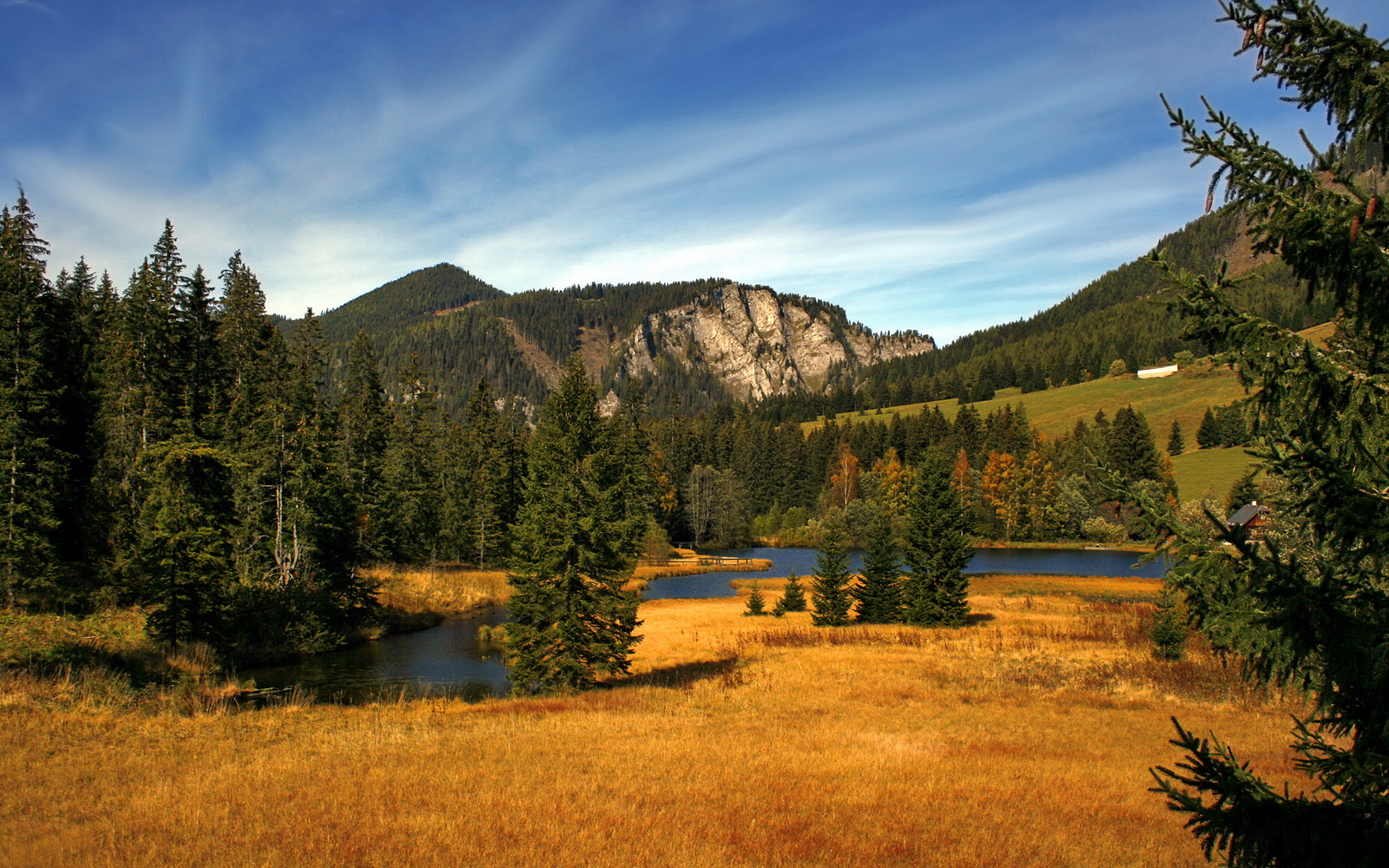 冰封高原!莫兰特44分压制级发挥,灰熊冲垮掘金主场