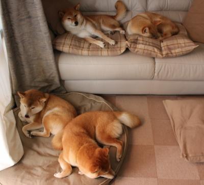 完美却徒劳,米切尔的教科书级表现,步行者惜败掘金的启示