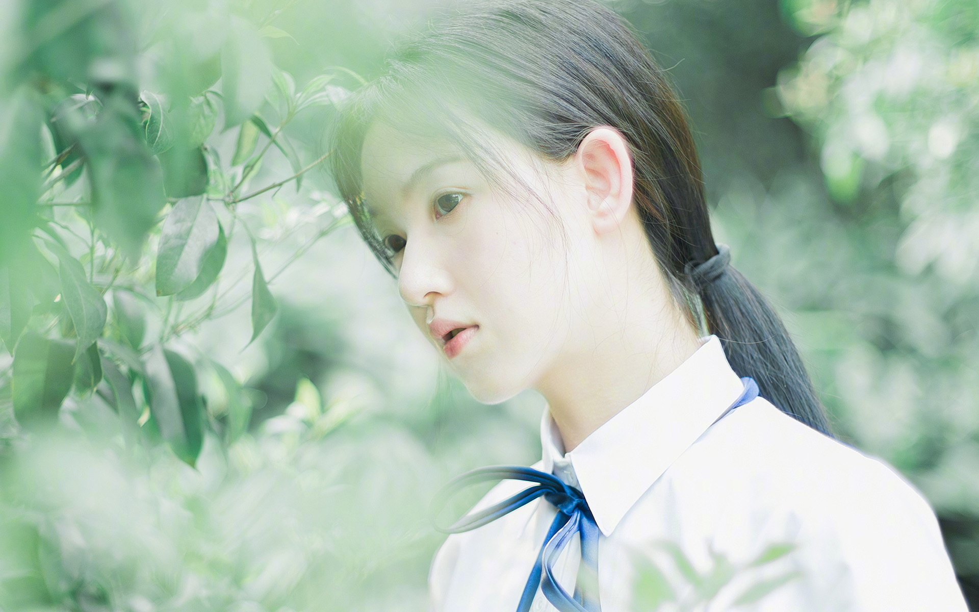 数据狂潮与齿轮咬合,约基奇的宇宙爆发与广东队强行终结快船启示录