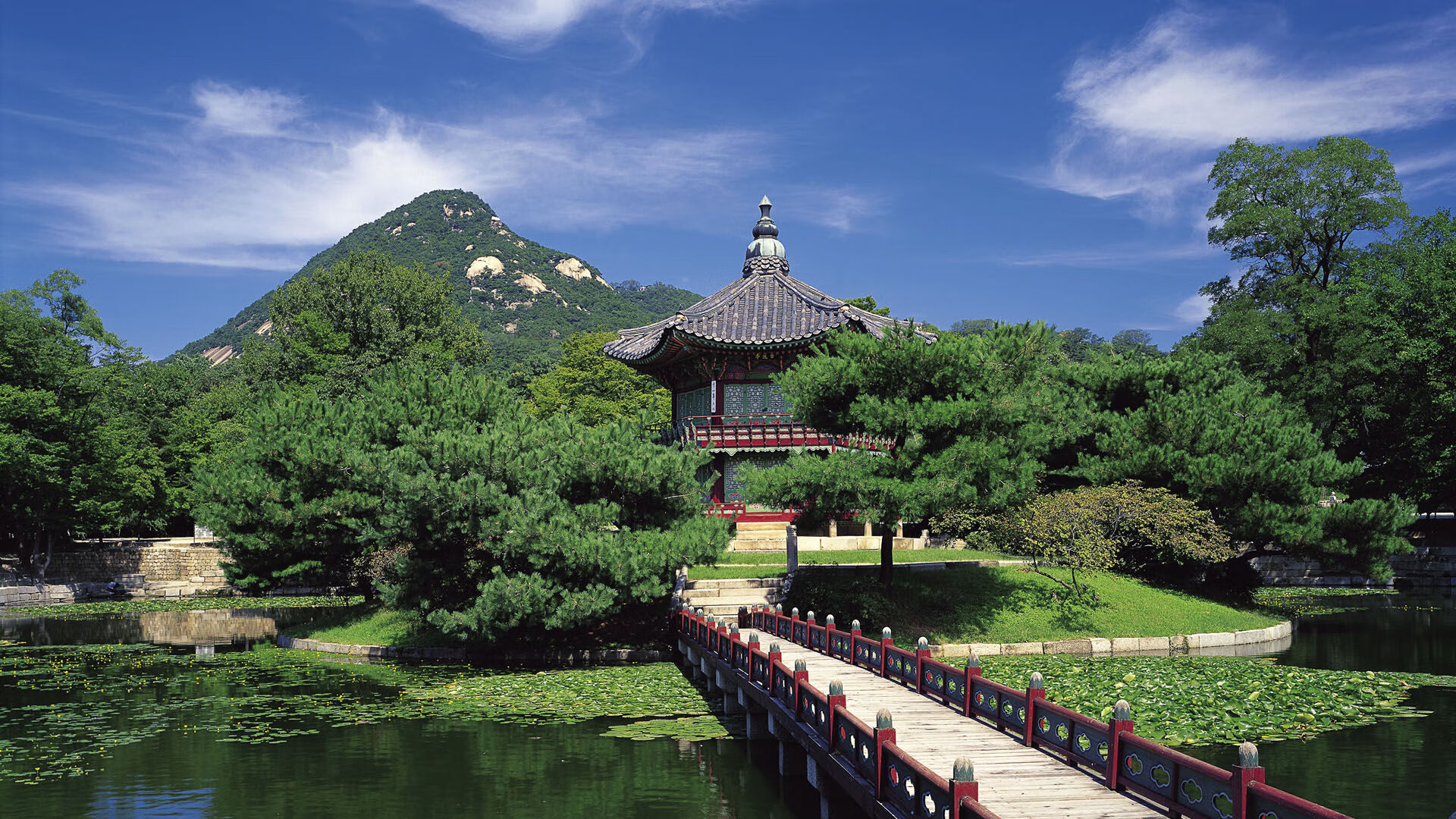 孤星与鹰群，莱万折射巨星光芒，阿尔及利亚团队之力冲破铁壁