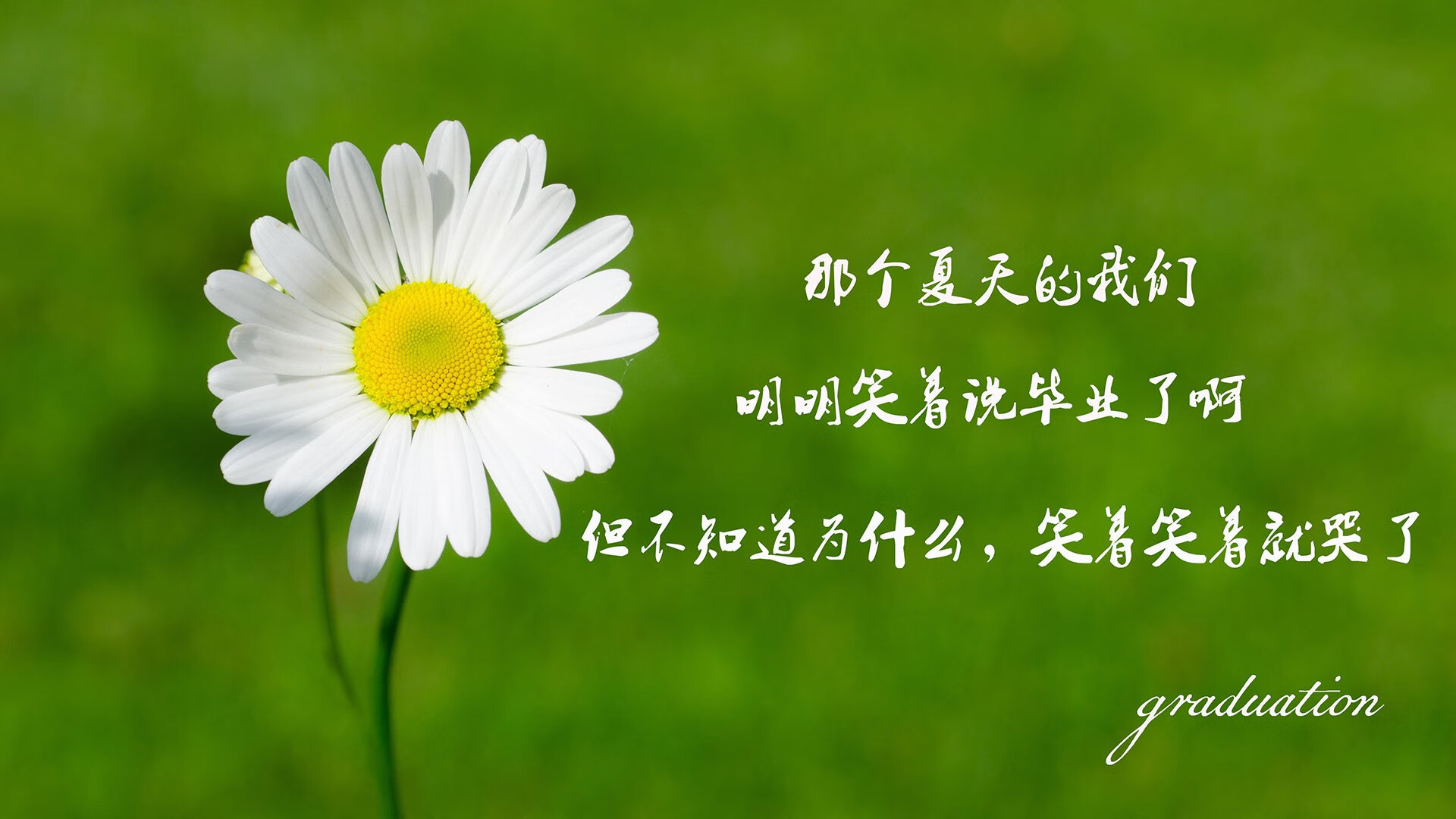 喀麦隆雄狮怒吼!B组焦点战爆冷逆转波兰,凯恩独造三球主宰全场