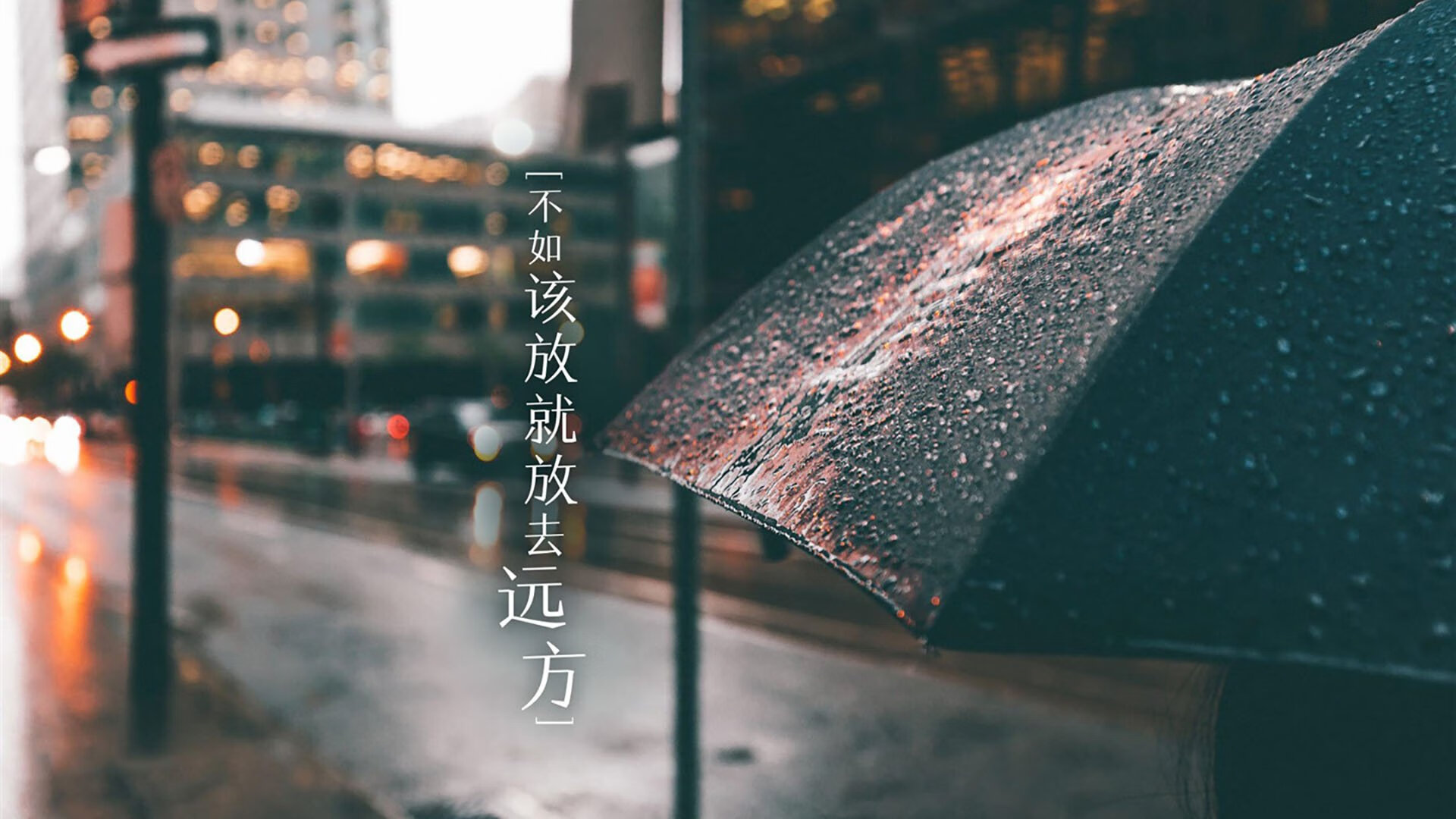 唯一性的对决,当波兰的铁骑踏碎喀麦隆的狂想,格列兹曼用节奏书写2026世界杯B组传奇
