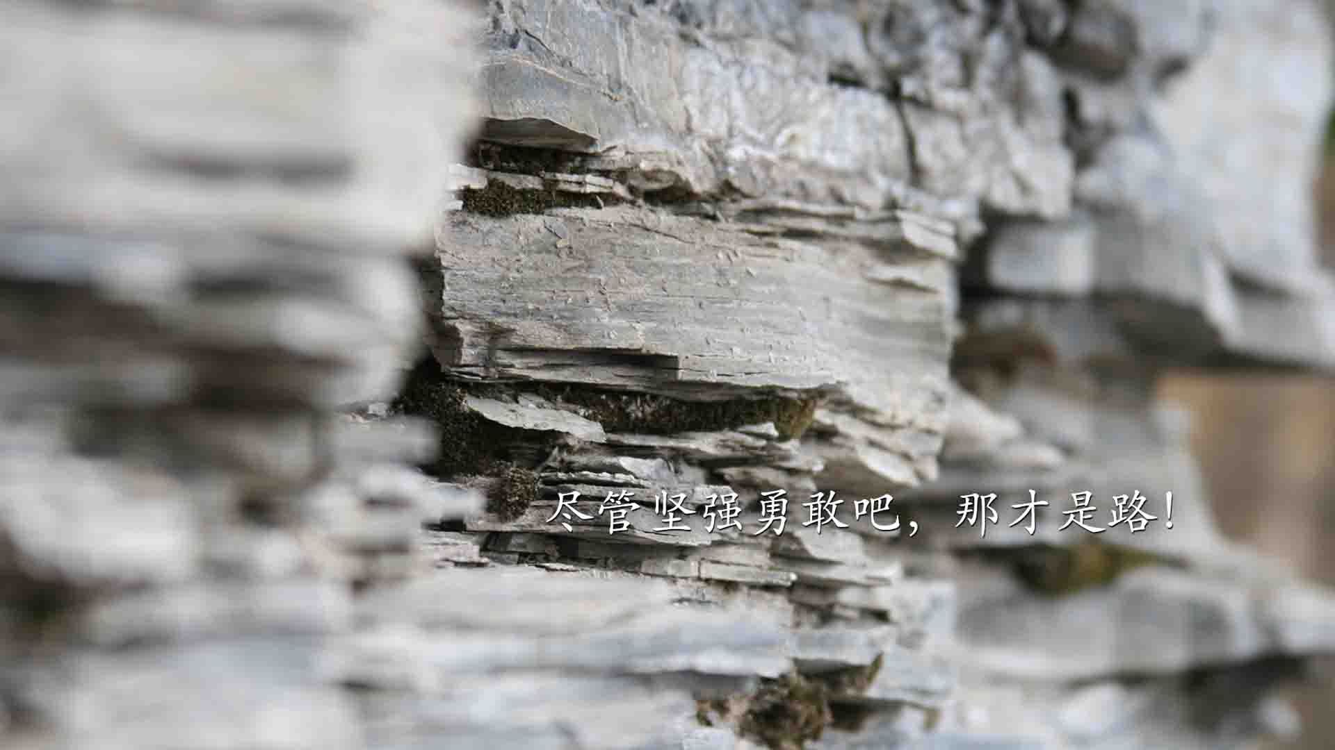 命运在补时转弯,罗马尼亚绝杀之夜,吉鲁老将逆龄,中场群狼锁死南美锋芒
